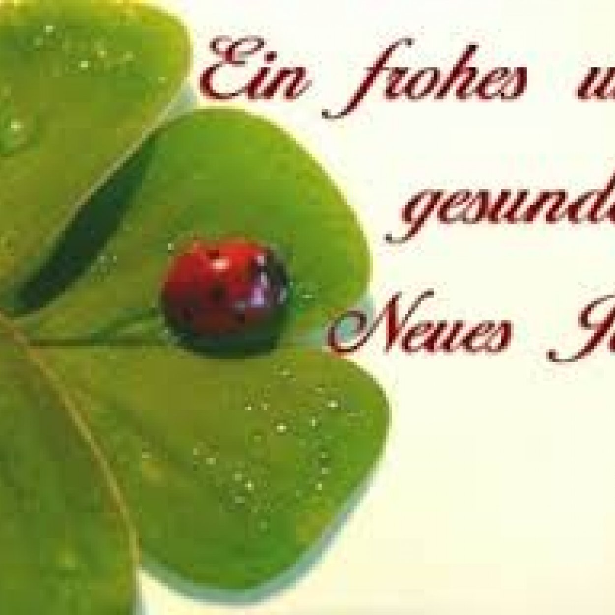 Frohes Neues.jpg